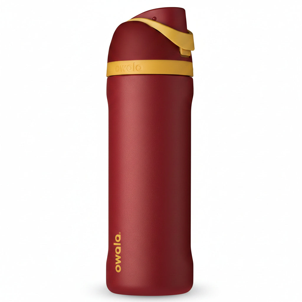 Owala Harry Potter FreeSip Insulated Stainless Steel Water Bottle with Straw, BPA-Free Sports Water Bottle, Great for Travel, 24 Oz, Gryffindor