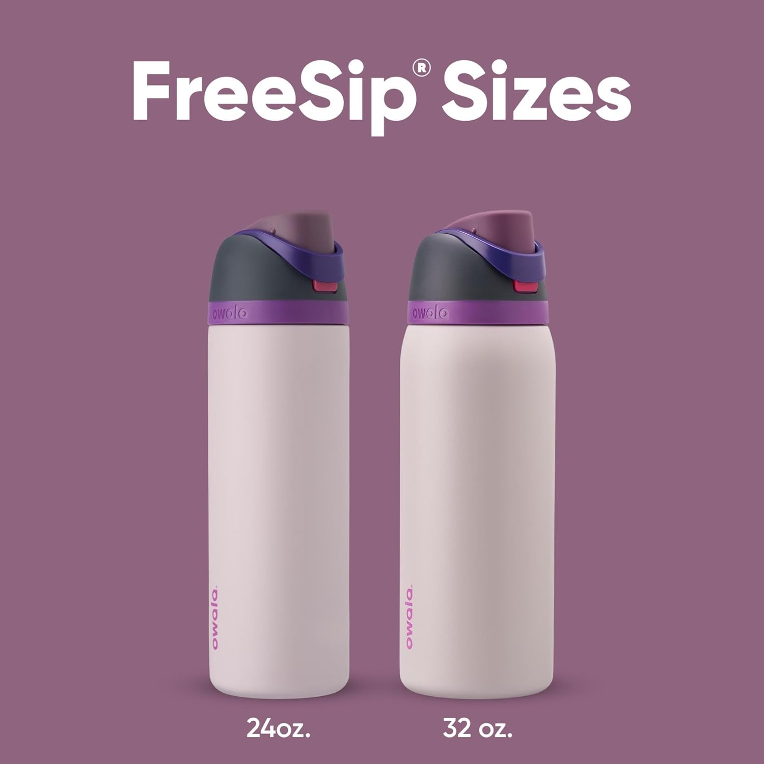 Owala FreeSip Insulated Stainless Steel Water Bottle with Straw for Sports and Travel, BPA-Free, 32oz, Dreamy Field