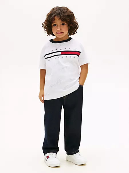 Tommy Hilfiger Boys Signature Flag Stripe Logo White T-Shirt