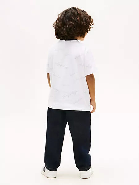 Tommy Hilfiger Boys Signature Flag Stripe Logo White T-Shirt