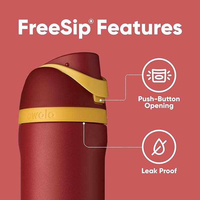 Owala Harry Potter FreeSip Insulated Stainless Steel Water Bottle - Gryffindor