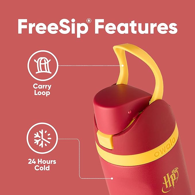 Owala Harry Potter FreeSip Insulated Stainless Steel Water Bottle - Gryffindor
