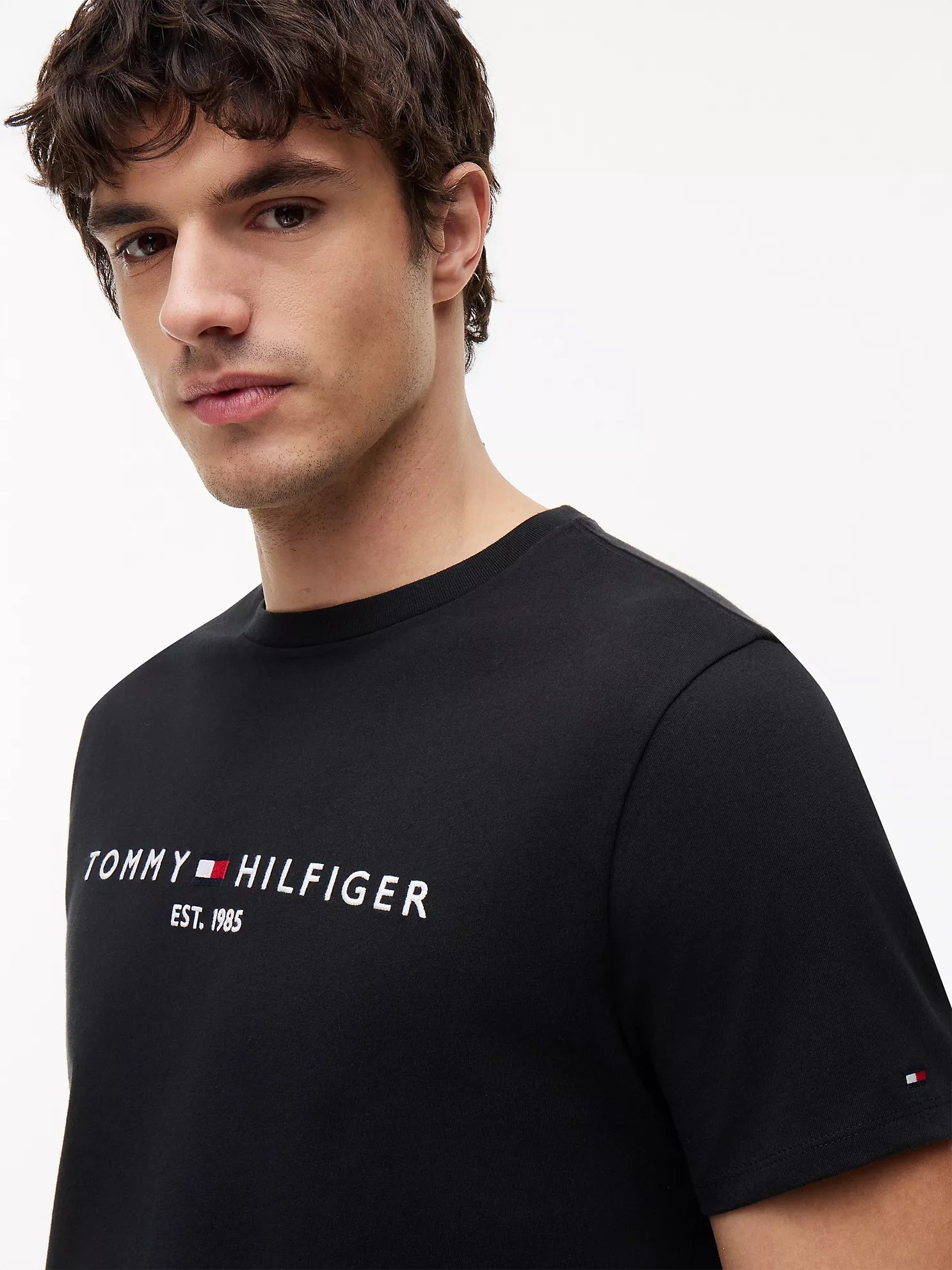 Tommy Hilfiger Embroidered Tommy Logo T-Shirt men