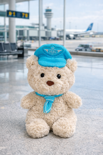 Bartholomew Bear Junior clothes outfits - Pilot