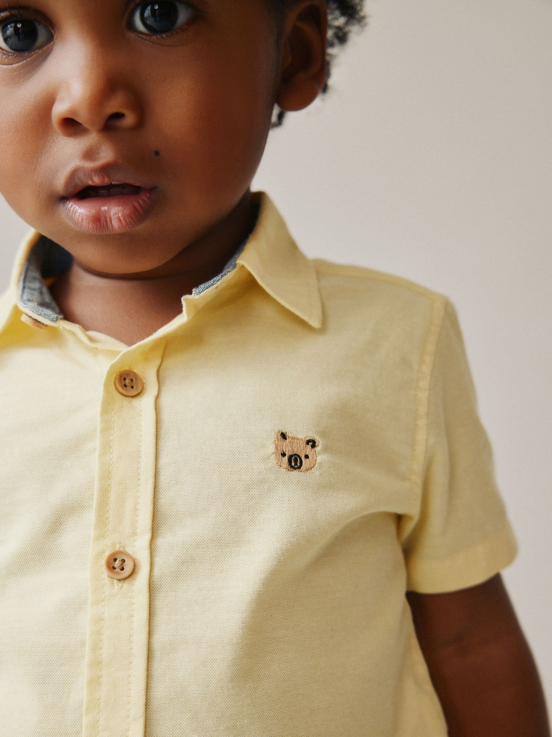 Yellow Gingham Character Short Sleeve Oxford Shirt (3mths-7yrs)