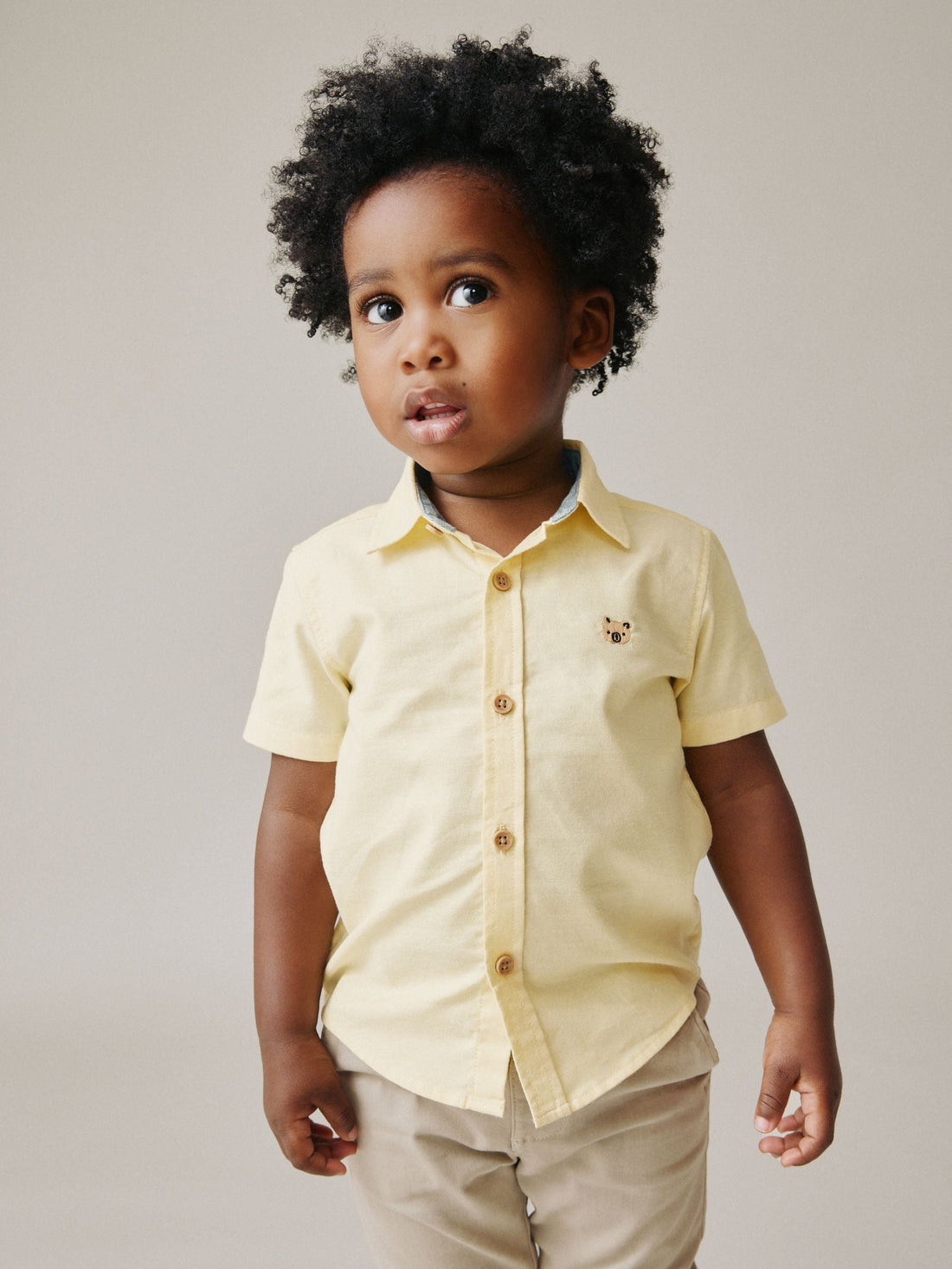 Yellow Gingham Character Short Sleeve Oxford Shirt (3mths-7yrs)