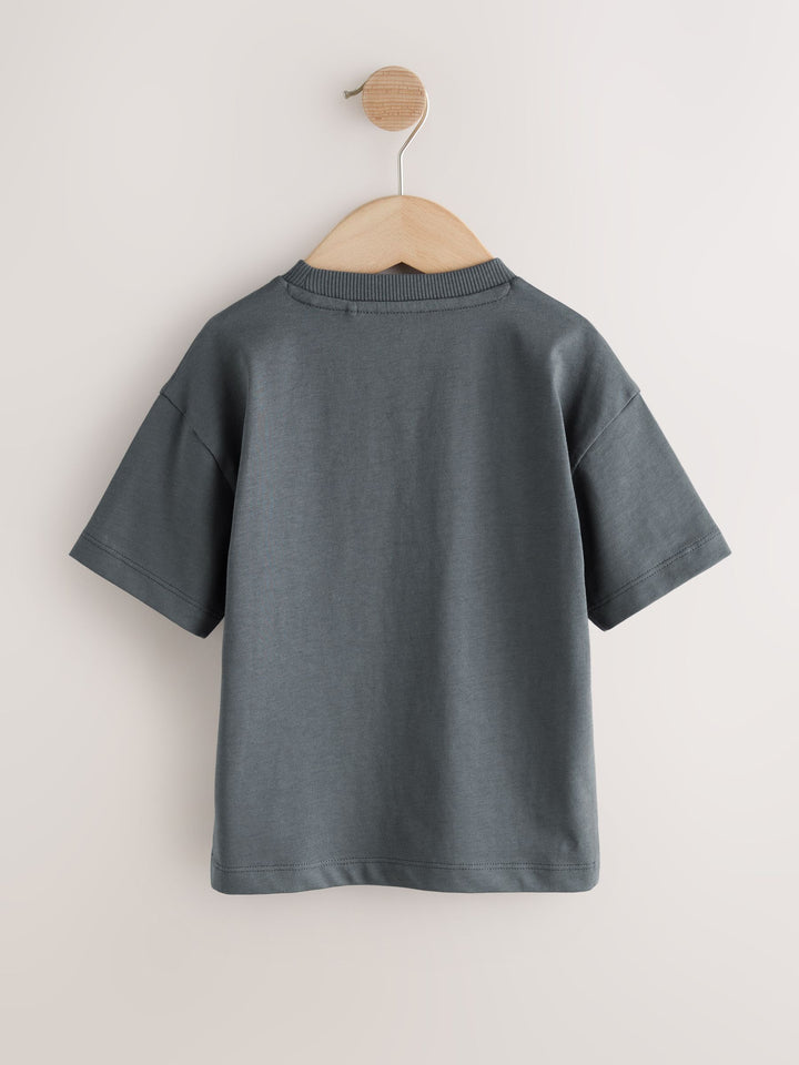 Charcoal Grey Cool Slogan Short Sleeve Small Graphic T-Shirt (3mths-8yrs)