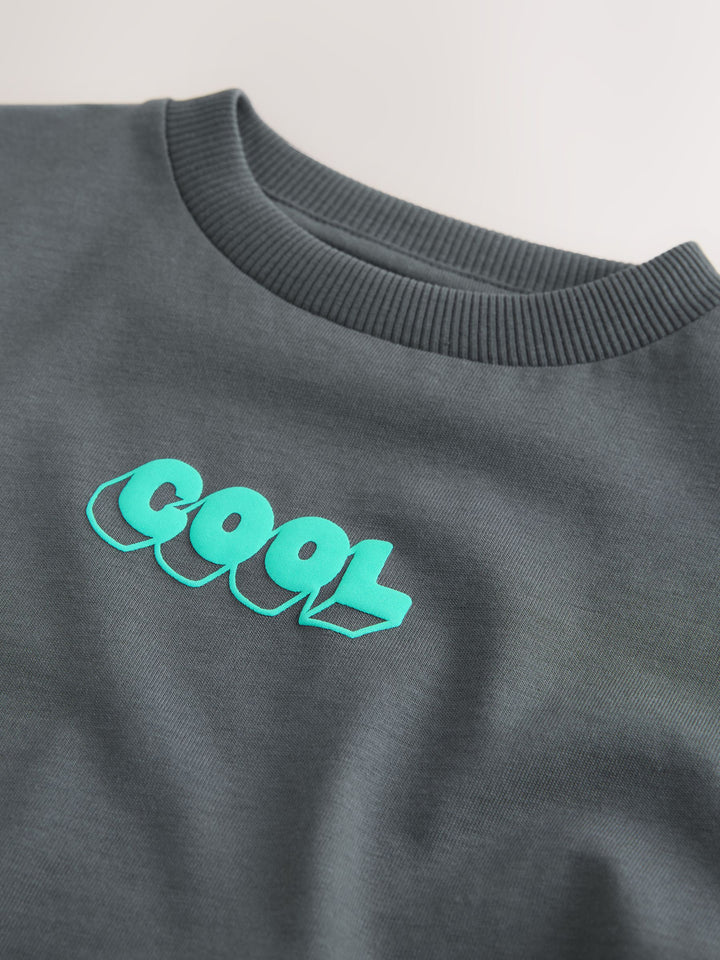 Charcoal Grey Cool Slogan Short Sleeve Small Graphic T-Shirt (3mths-8yrs)