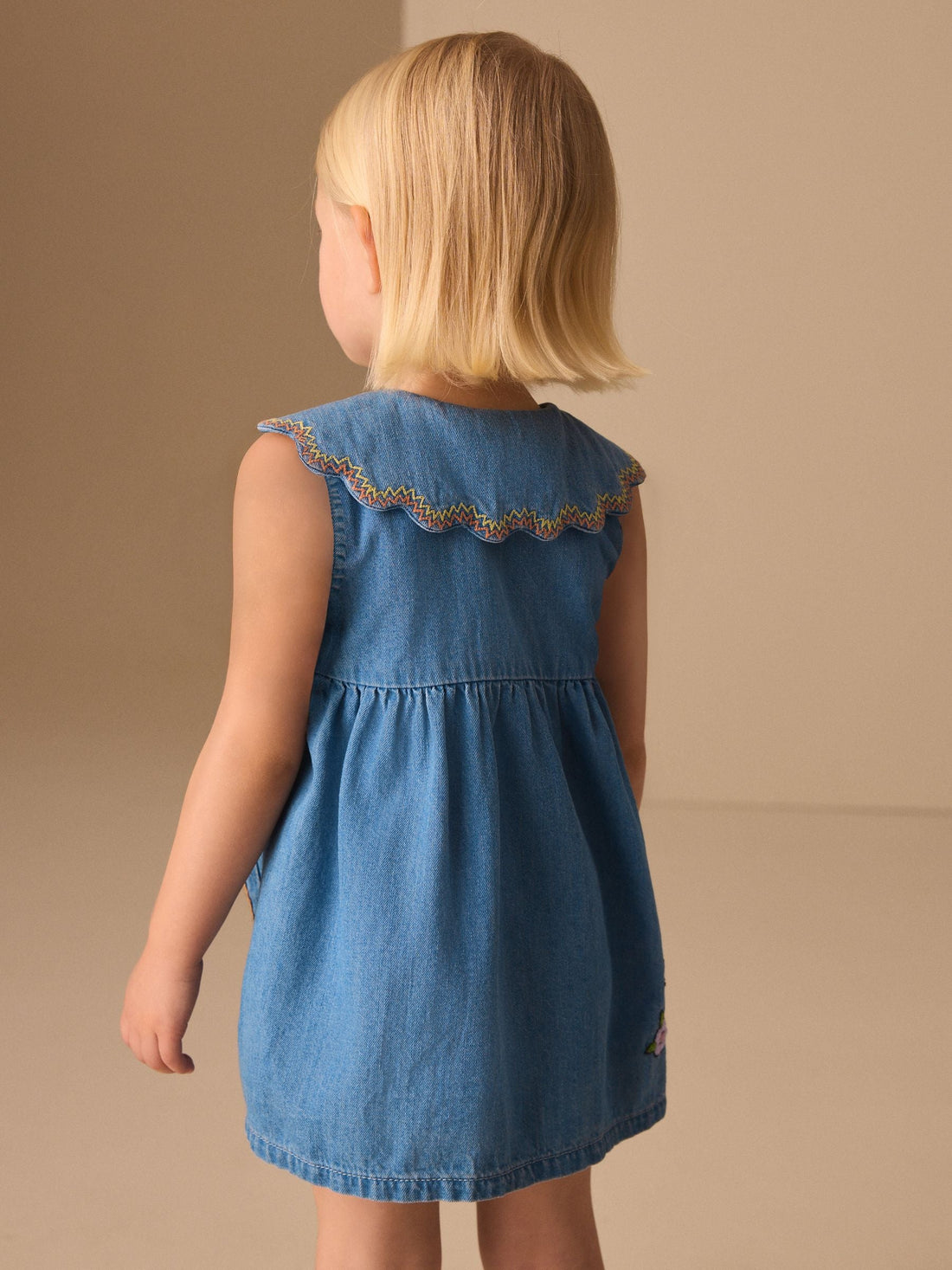 Character Embroidered Collar Denim Dress (3mths-8yrs)