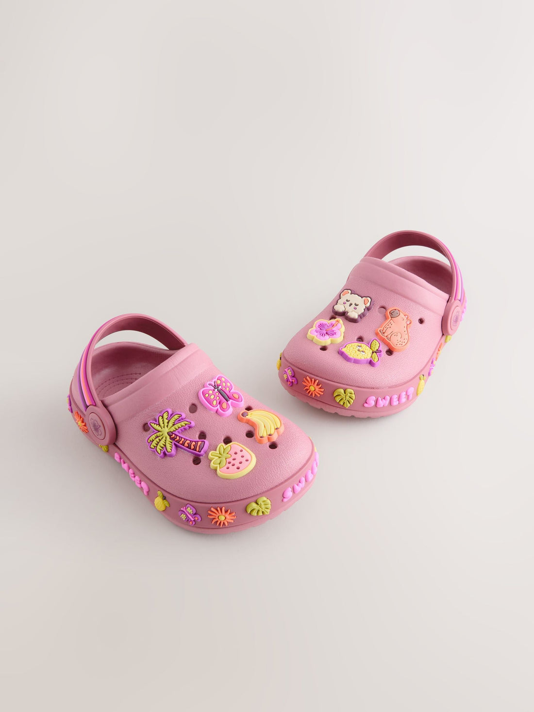 Rust Brown Capybara Standard Fit (F) Character Clogs