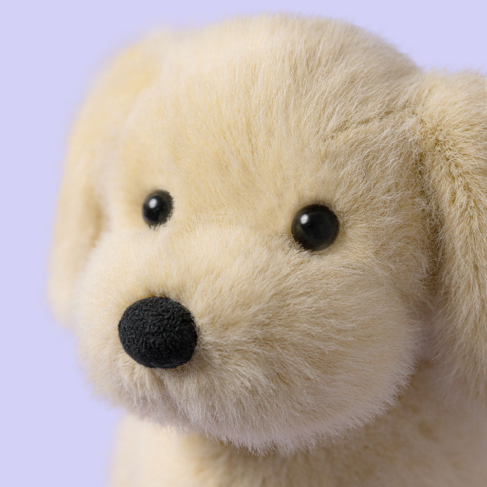 Golden Puppy