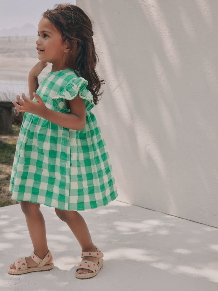 Green Check Ric Rac Frill Sleeve Dress (3mths-8yrs)