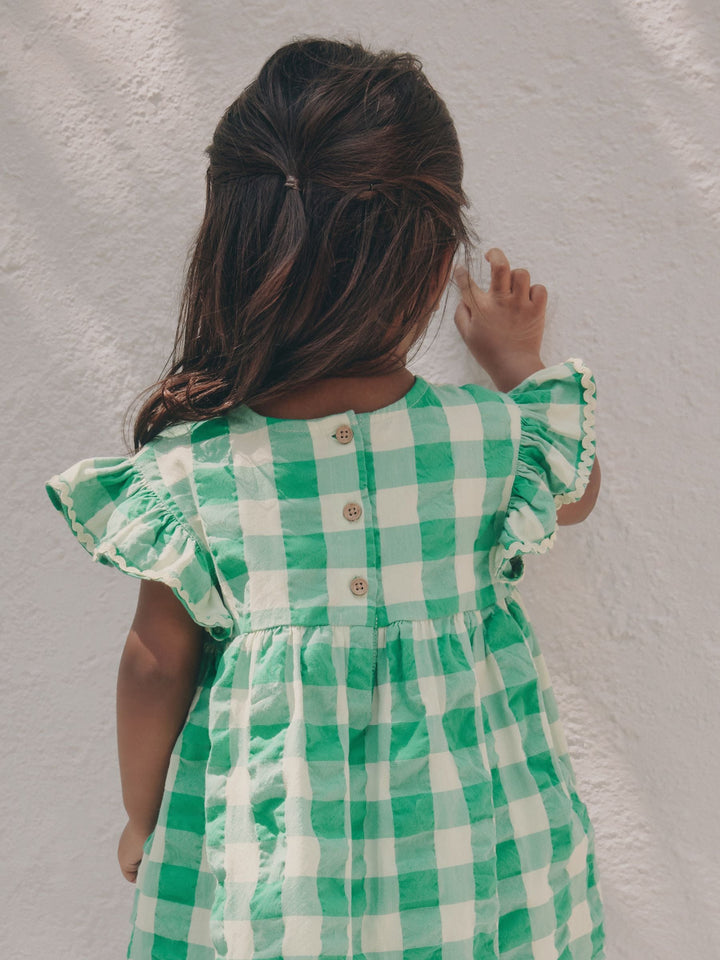 Green Check Ric Rac Frill Sleeve Dress (3mths-8yrs)