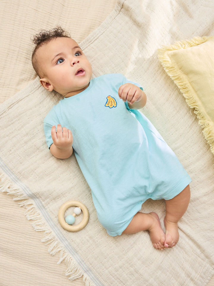 Blue Fruit Print Jersey Baby Rompers 3 Pack
