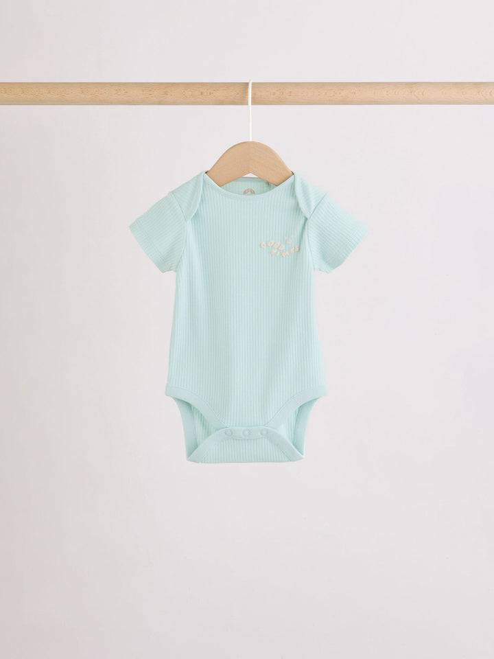 Multi Short Sleeve Baby Bodysuits 5 Pack