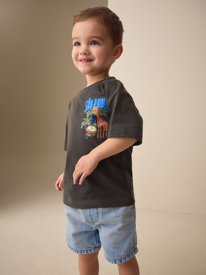 Charcoal Grey Sao Paulo Short Sleeve Back Print T-Shirt (3mths-7yrs)