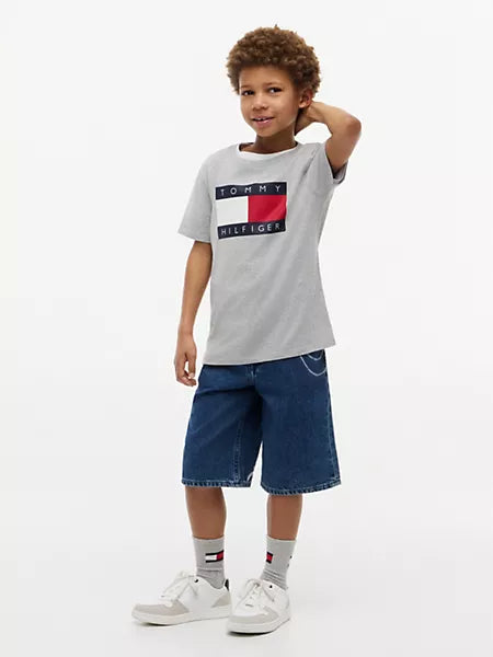Boys Kids' Tommy Flag Logo T-Shirt Sz 12-14