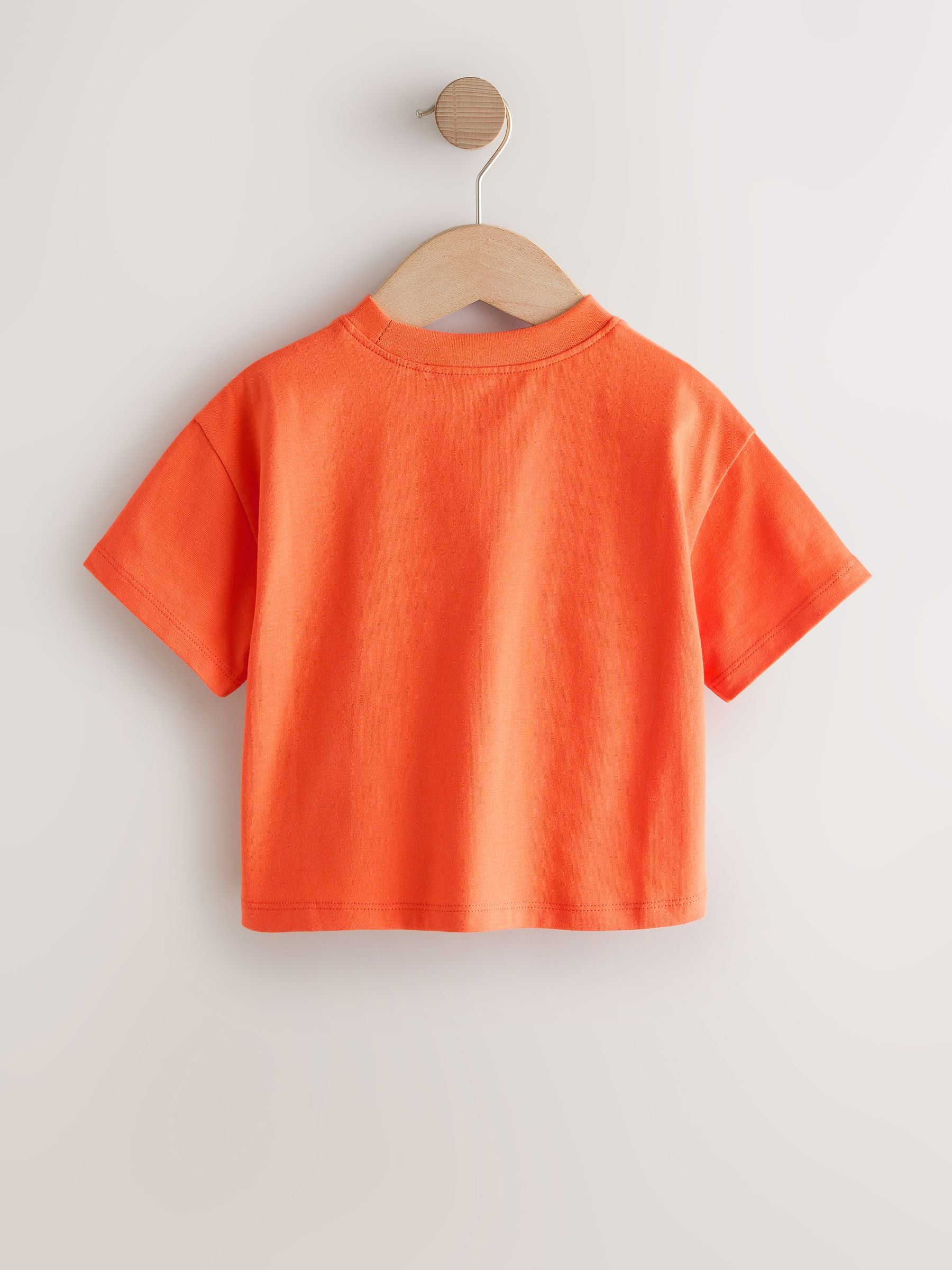 Blue/Green T-Shirts 4 Pack (3mths-7yrs)