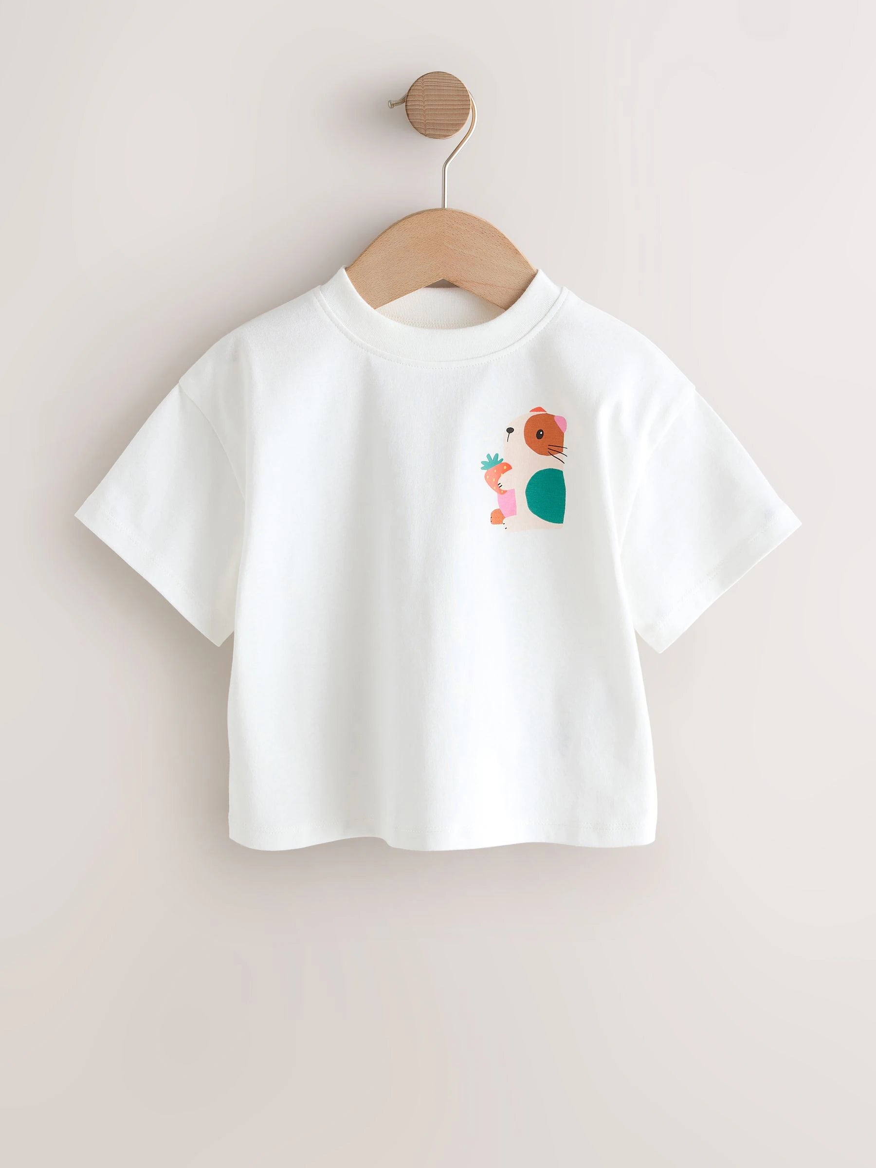 Blue/Green T-Shirts 4 Pack (3mths-7yrs)