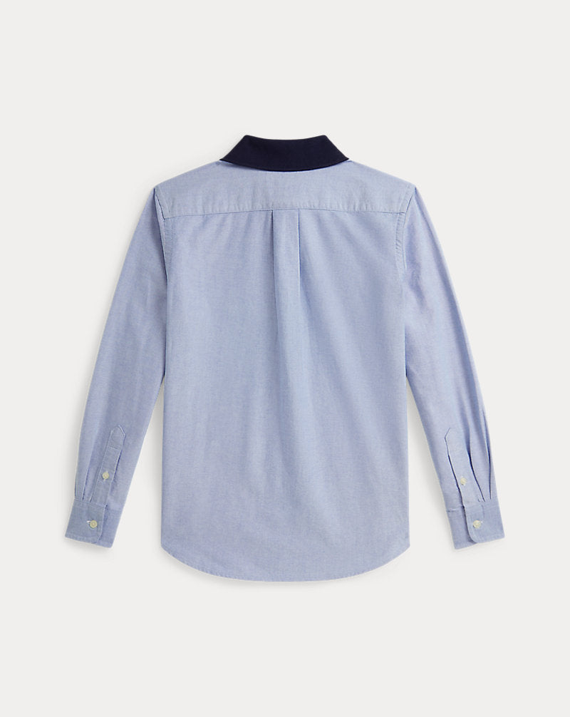 Polo Bear Oxford Knit-Collar Shirt